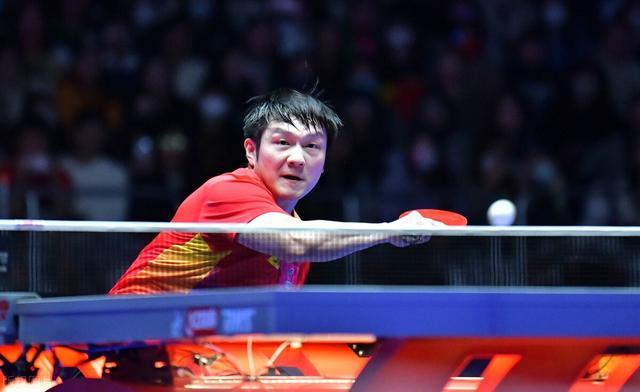 这一惊人的 这一惊人的