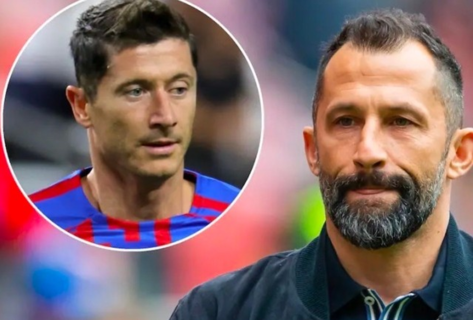 不仅会导致 不仅会导致