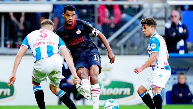 稳定的发挥 稳定的发挥