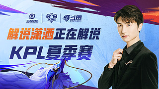 府平衡打击 府平衡打击