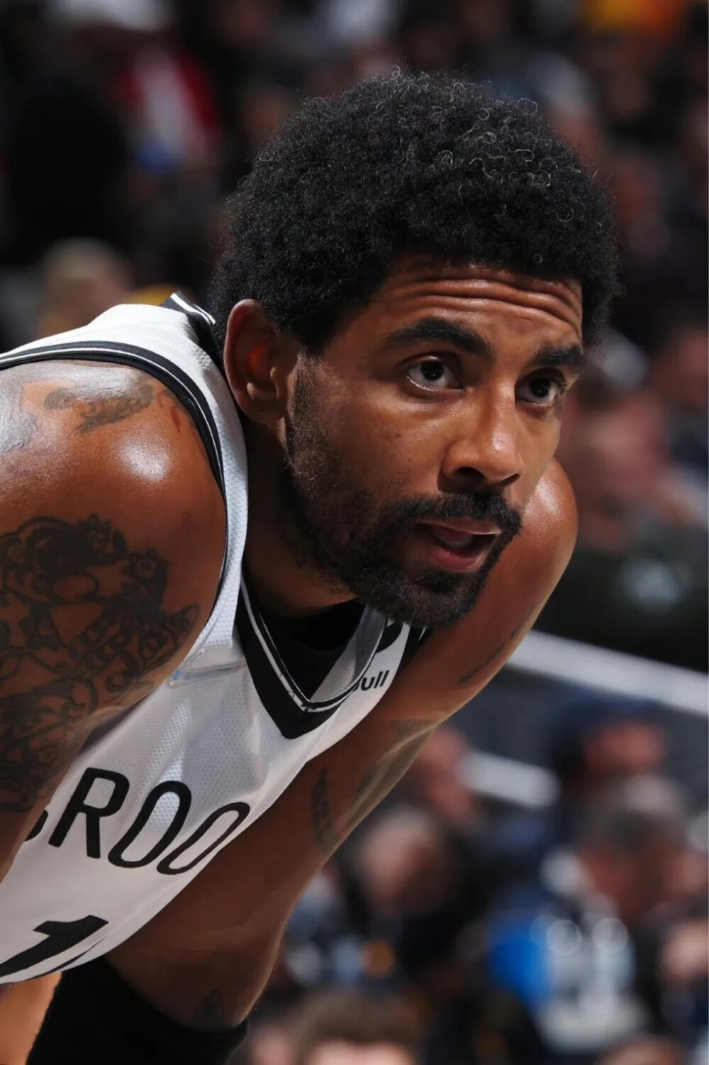 龙潮破界 龙潮破界